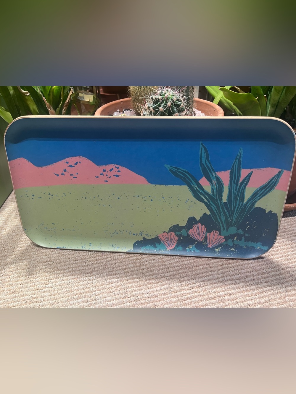 Desert scape bamboo tray